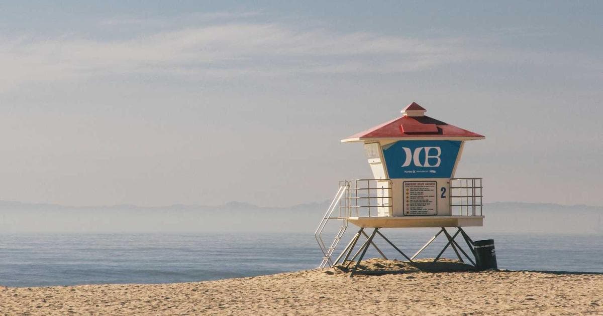 Online Notepad vs Full Note-Taking Apps – When You Need Which One