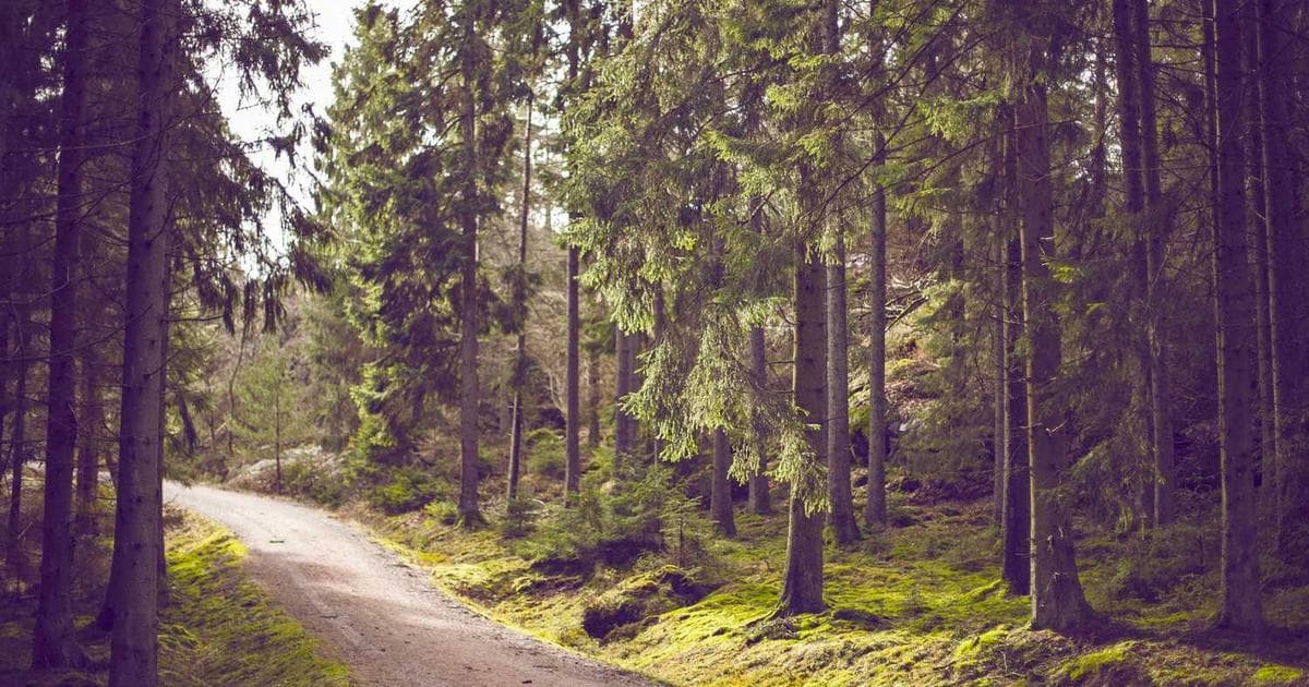 Behind the Scenes: Designing Woff