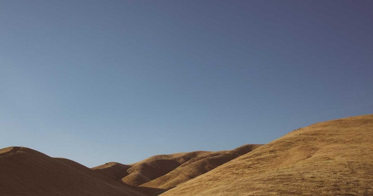 A Simple Way to Share To-Do Lists and Grocery Lists Online With Family