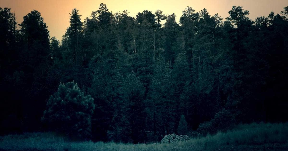 What Is an Online Notepad and Why It's Faster Than Docs or Email