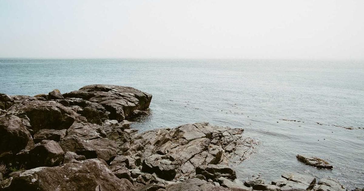 Online Notepad With Shareable Link – The Easiest Way to Send Text Between Devices