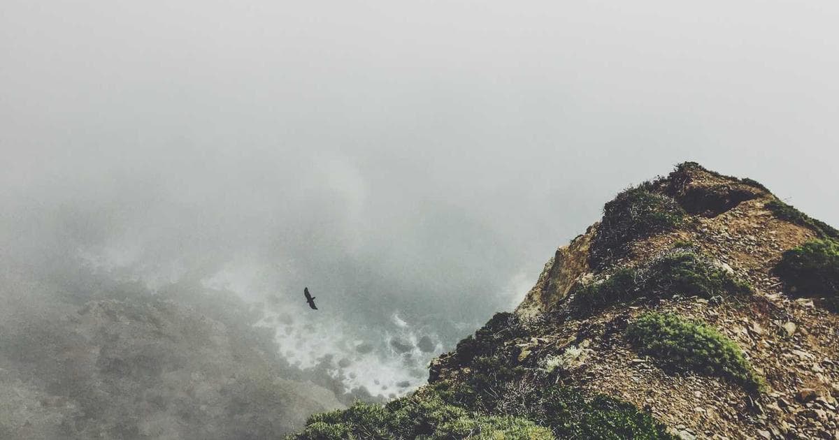 How Students Can Share Notes Online With Friends Before Exams